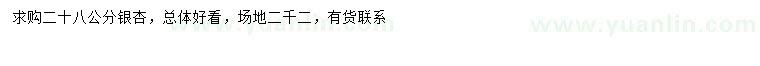 求購28公分銀杏