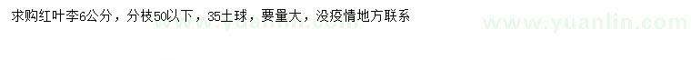 求購(gòu)6公分紅葉李