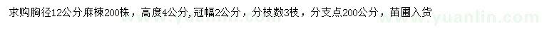 求購胸徑12公分麻楝
