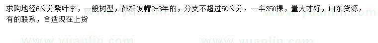 求購地徑6公分紫葉李