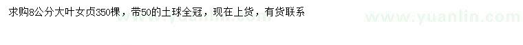 求購8公分大葉女貞