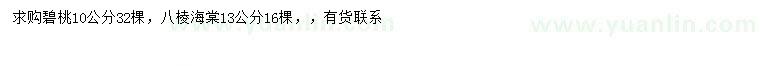 求購10公分碧桃、13公分八棱海棠