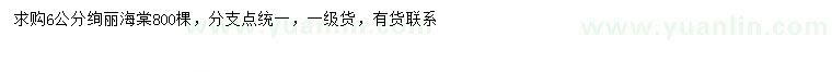 求購6公分絢麗海棠