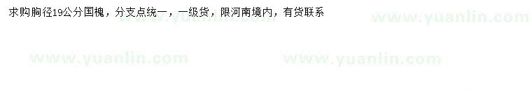 求購胸徑19公分國槐