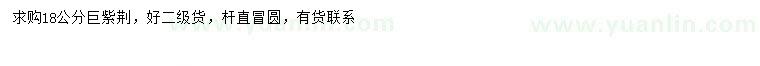 求購18公分巨紫荊