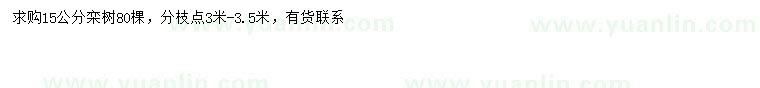 求購15公分欒樹(shù)