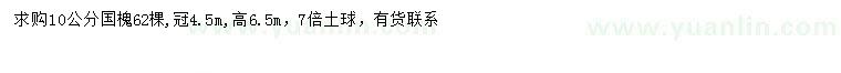 求購10公分國槐