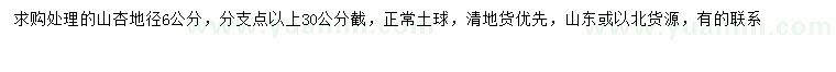 求購地徑6公分山杏