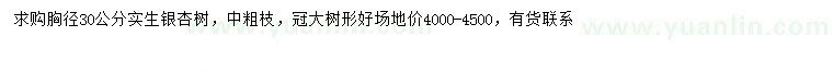 求購胸徑30公分銀杏樹