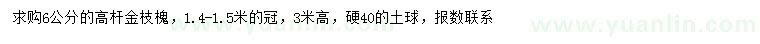 求購6公分高桿金枝槐