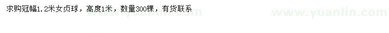 求購冠幅1.2米女貞球
