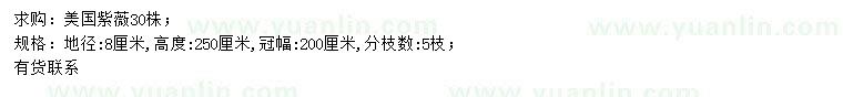 求購地徑8公分美國紫薇