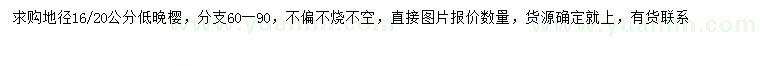 求購(gòu)地徑16、20公分晚櫻