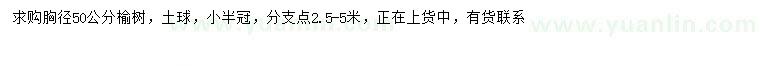 求購胸徑50公分榆樹