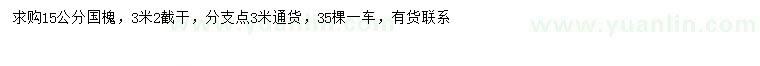 求購15公分國槐