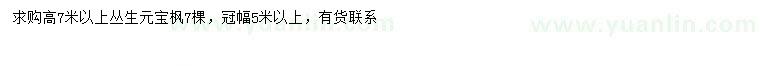 求購高7米以上叢生元寶楓