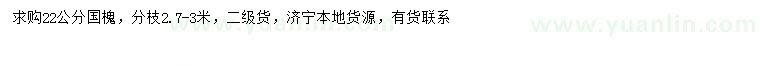求購(gòu)22公分國(guó)槐