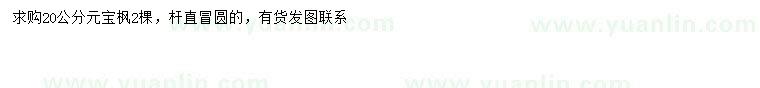 求購20公分元寶楓