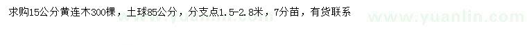 求購15公分黃連木