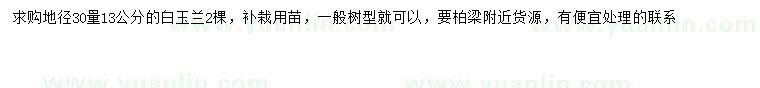 求購30量13公分白玉蘭