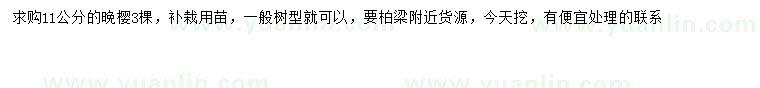 求購(gòu)11公分晚櫻