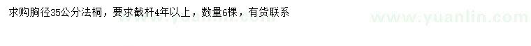 求購胸徑35公分法桐