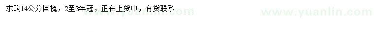 求購(gòu)14公分國(guó)槐