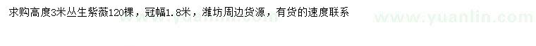 求購高3米叢生紫薇