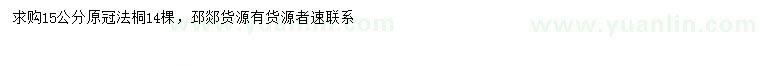 求購15公分法桐