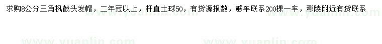 求購8公分三角楓