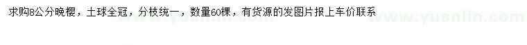 求購8公分晚櫻