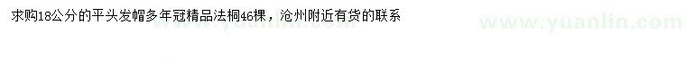 求購18公分法桐