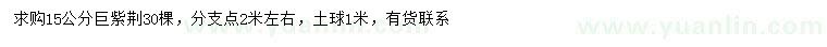 求購15公分巨紫荊