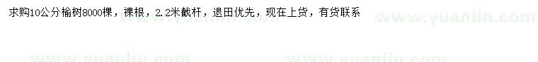 求購(gòu)10公分榆樹