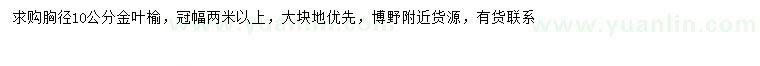 求購胸徑10公分金葉榆