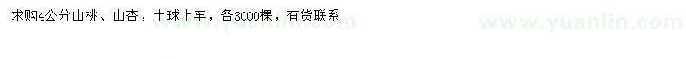 求購(gòu)4公分山桃、山杏