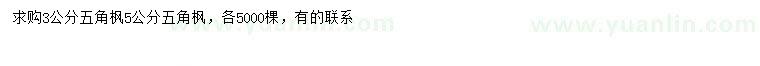 求購3、5公分五角楓