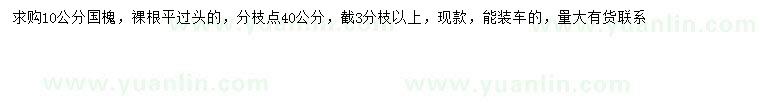 求購10公分國槐