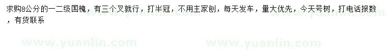 求購8公分國槐