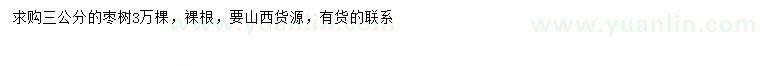求購3公分棗樹