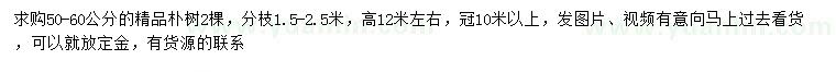 求購(gòu)50-60公分樸樹