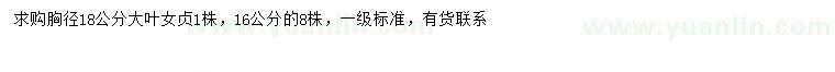 求購胸徑16、18公分大葉女貞