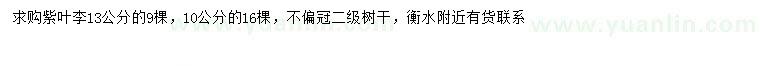求購(gòu)10、13公分紫葉李
