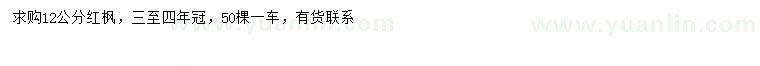 求購12公分紅楓