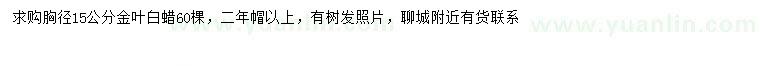求購胸徑15公分金葉白蠟