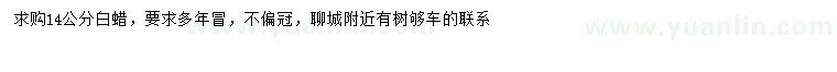 求購14公分白蠟