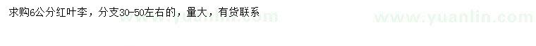 求購(gòu)6公分紅葉李