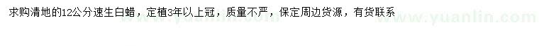 求購12公分速生白蠟