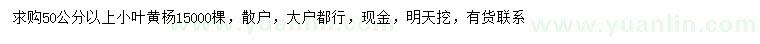 求購50公分以上小葉黃楊