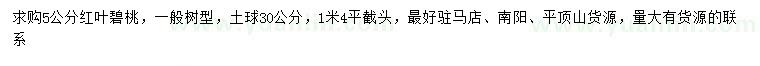 求購5公分紅葉碧桃